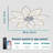 LED Ceiling Fan with Light,Modern Dimmable Ceiling Fan,Silent Ceiling Fan with Remote Control and APP Control