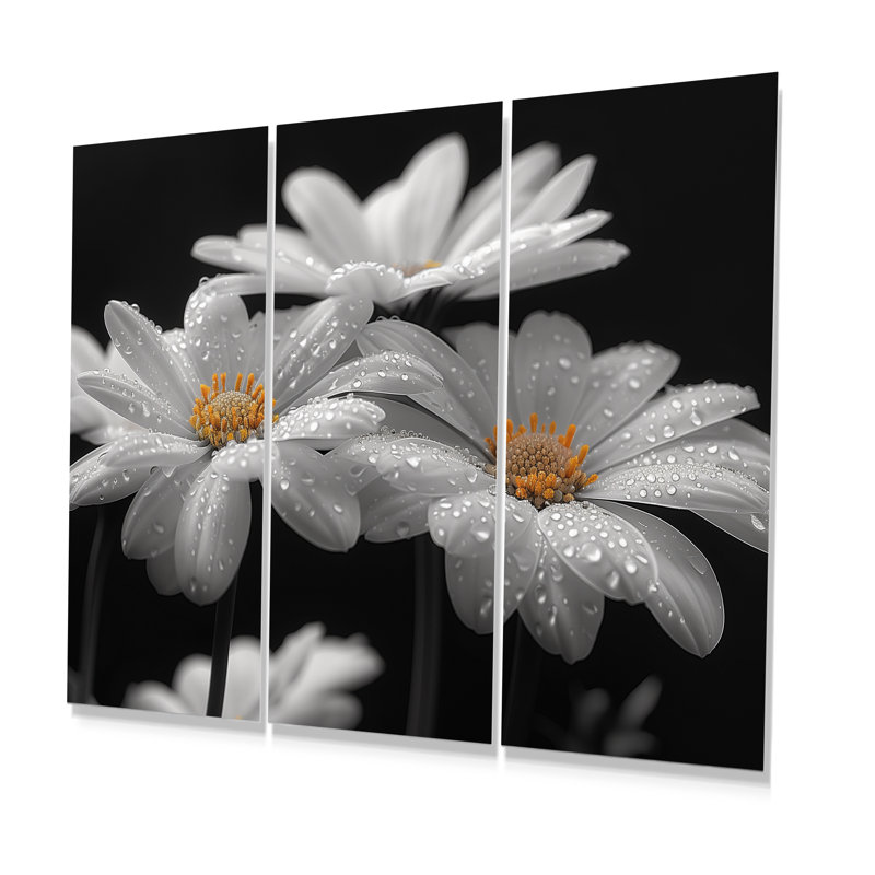 Monochromes noir et blanc «Bliss Daisy Photo III» - impression d'art mural marguerites, Métal métal