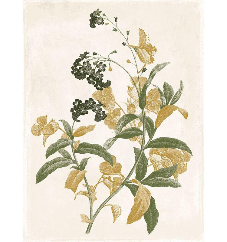 «Lark Manor ™», toile tendue sur toile Jace Gallery: fleurs vertes et dorées 2, H 47 po x l 36 po