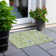 Mahaney Floral Indoor Rug
