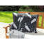 Pianazzo Indoor / Outdoor Square Cushion