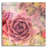 " Succulents 02 " by Lightbox Journal-970898399