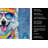 American Eskimo Hippie Dawg Kitchen Towel
