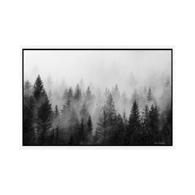 Forest - Print on Canvas, 101.6 cm H x 66.04 cm W, White Framed