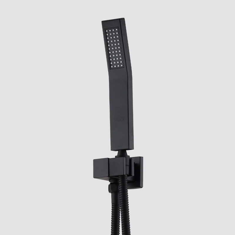 Douche de plafond noire mate - Tête et salle de bain à main 10 po