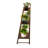 Scope Wood Plant Stand