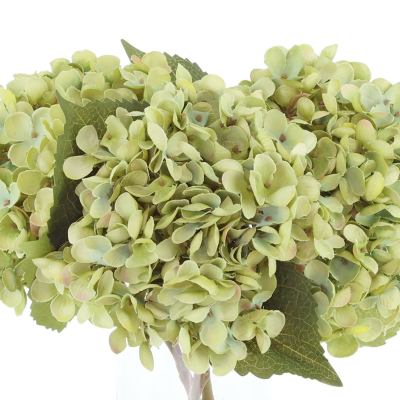 Hydrangea Floral Arrangement in Glass Vase
