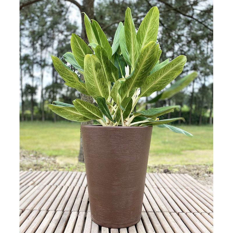 Pot à fleurs en résine Genebra, Brun, H 22,44 po x l 17,32 po x P 17,32 po