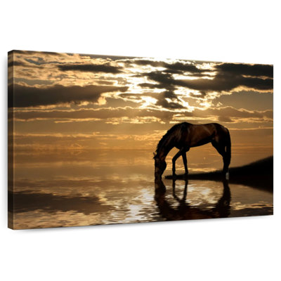 Crowle Lone Arabian Horse