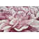 Vestavia Floral Indoor Rug