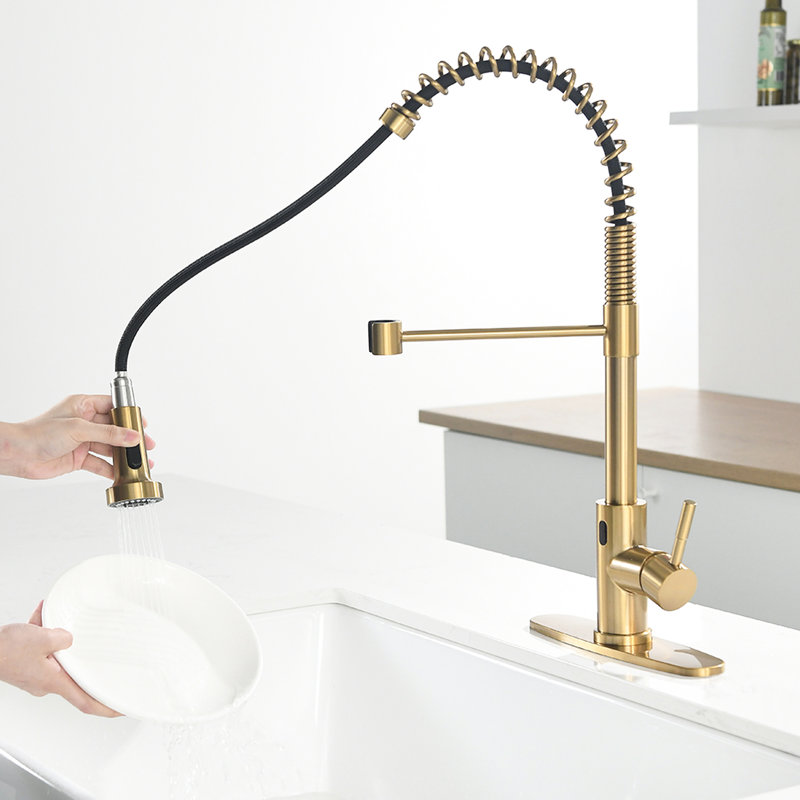 Robinet de cuisine Touchless