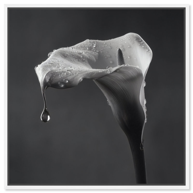 Midnight Rain Print by Oliver Gal, 17"H x 17"W, White Floater Frame