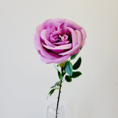 Tige de rose
