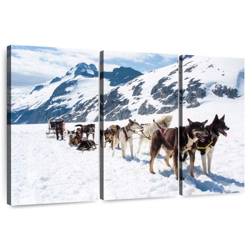 Brampt Alaska Dog Sledding, 42" H x 65" W