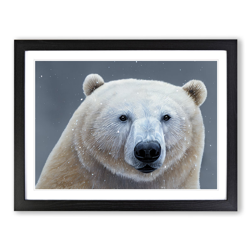 Spectacular Polar Bear - Framed Print, Black Frame, 46cm H x 64cm W