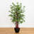 Bamboo Tree with Planter-1223083804