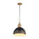 Luminaire suspendu 1 lumière Regena