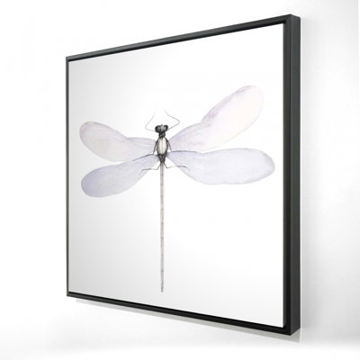 " Delicate Dragonfly "