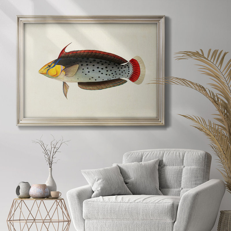 Collection de poissons tropicaux IV - Collection de poissons tropicaux - Imprimé, L 41 po x H 29 po