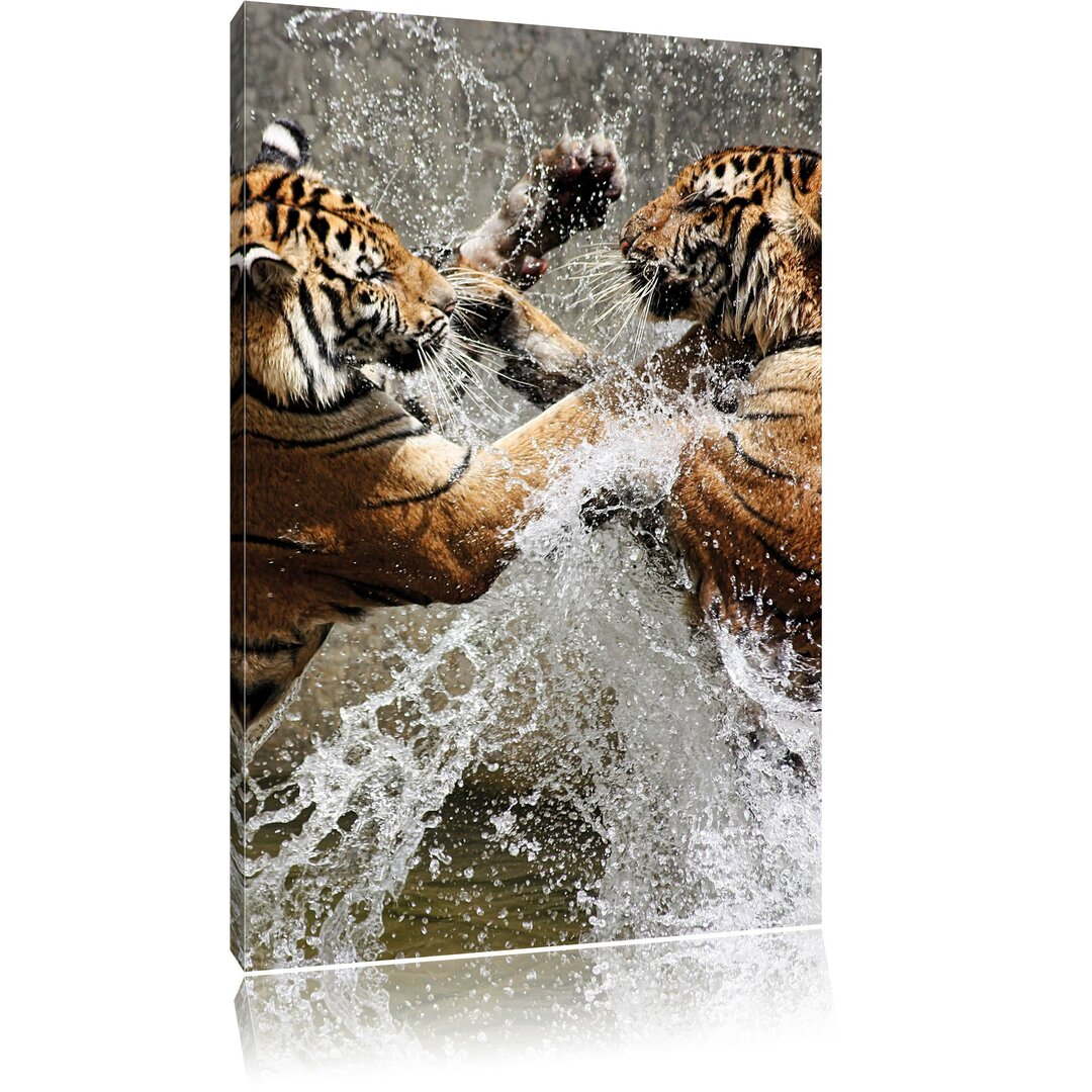 Leinwandbild Kämpfende Tiger im Wasser