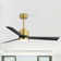 52'' Ceiling Fan With Lights And Remote Control