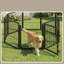 Chenils et enclos pour chiens