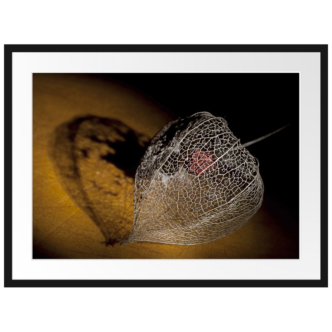 Gerahmtes Poster Schatten einer Physalis