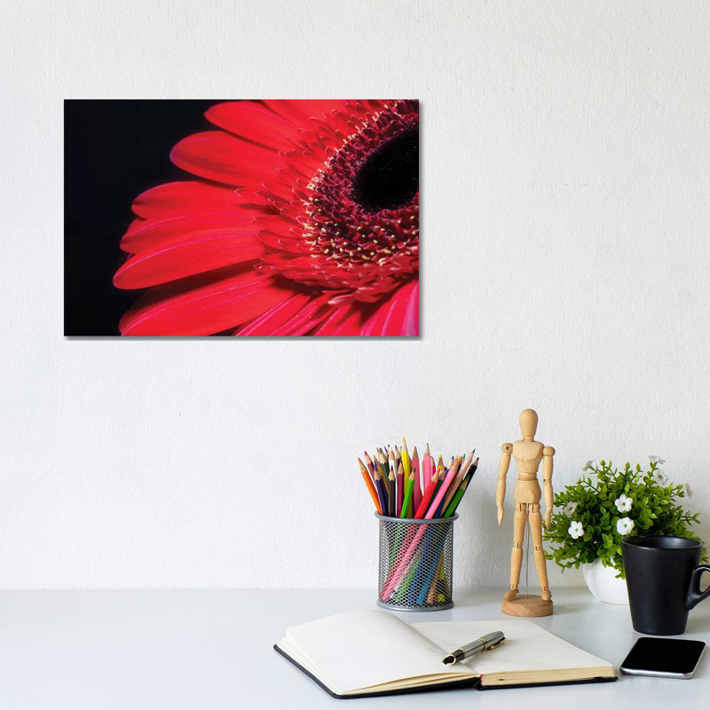 Red Gerbera Flower - Wrapped Canvas Print, 20.32cm H x 30.48cm W x 1.905cm D
