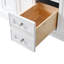 Haisley 54" W Double Vanity