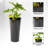 Leyanna Self-Watering Pot Planter-170647359