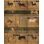 The Curators Cabinet Wallpaper Roll