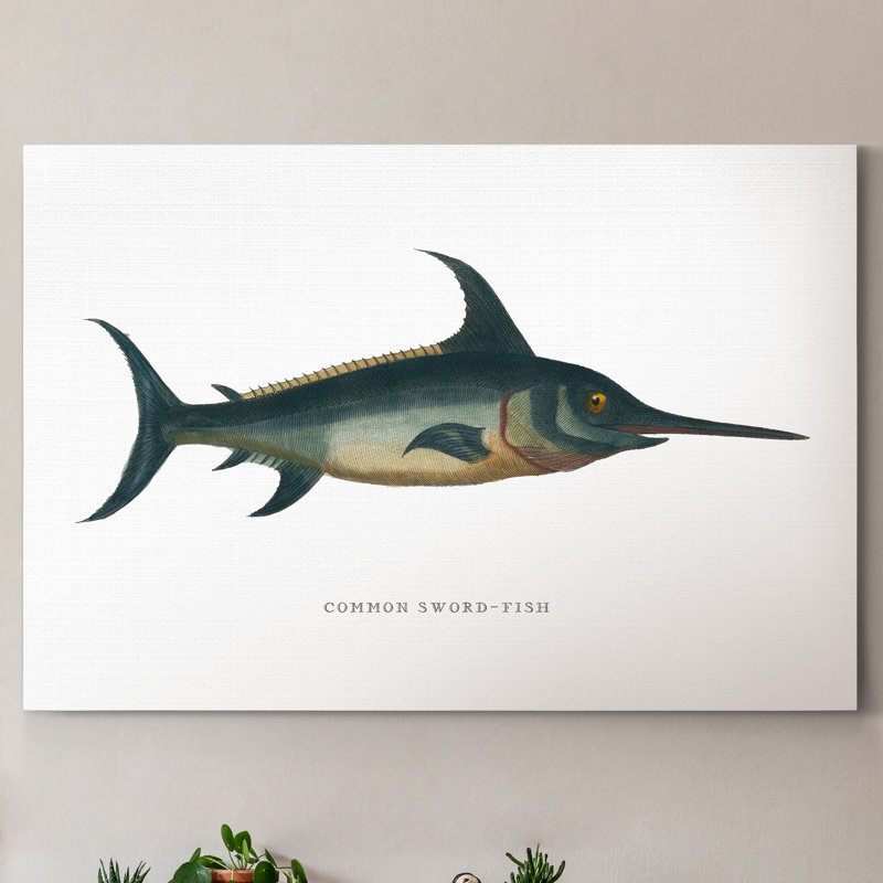 « Common Sword-Fish »-reproduction d’art sur toile, H 36 po x l 24 po x P 1 po