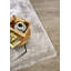 Cosy Area Rug-102555811