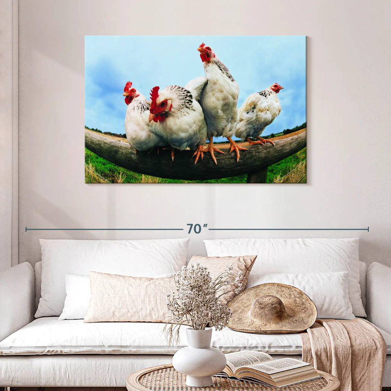 Poulet Brampt, H 30 po x l 45 po