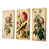 Toile tendue
