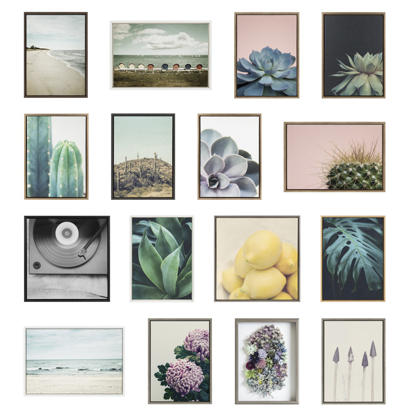 Macri Succulent 8 by Emiko and Mark Franzen of F2Images Print on Canvas, Natural, 18" x 24"