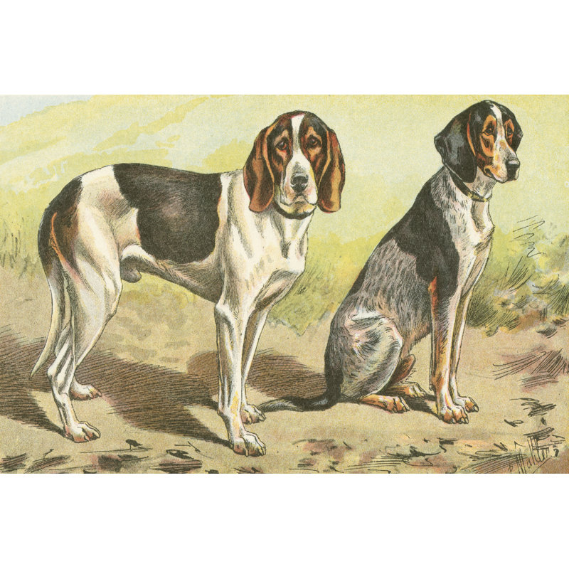 Mans Best Friend VI - Wrapped Canvas Print, 30cm H x 46cm W