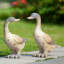 Duck Pair Garden Sculpture