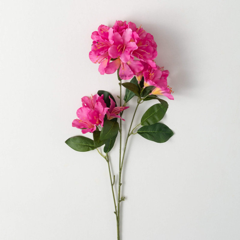 Azalea Arrangement