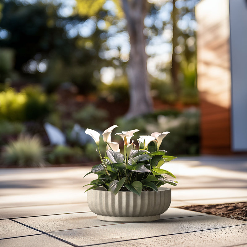 Grand pot / pot rond en béton avec trous de drainage, H 5,51 po x l 14,57 po x P 14,57 po, Gris clair