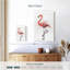 Flamant rose Brampt-108484653