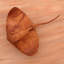 Figurine en bois dory Capuano