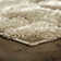 Benedetti Area Rug