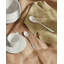 Caccia Stainless Steel Ice Scream Spoon