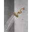 Filtre de douche standard avec filtre Clarifi-103146698