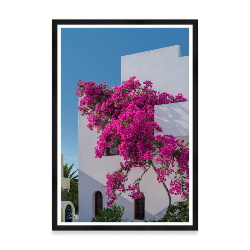 Bougainvillée grimpante I, H 54,75 po x l 37,5 po x P 1,5 po, Noir