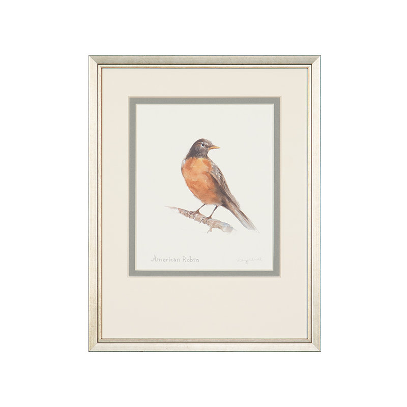 American Robin Print