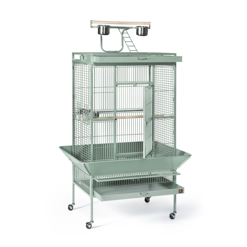 Cage à oiseau avec roues, support, perchoir, plateau Lucile, Petit (H 57 po x l 18 po x P 18 po), Vert sauge