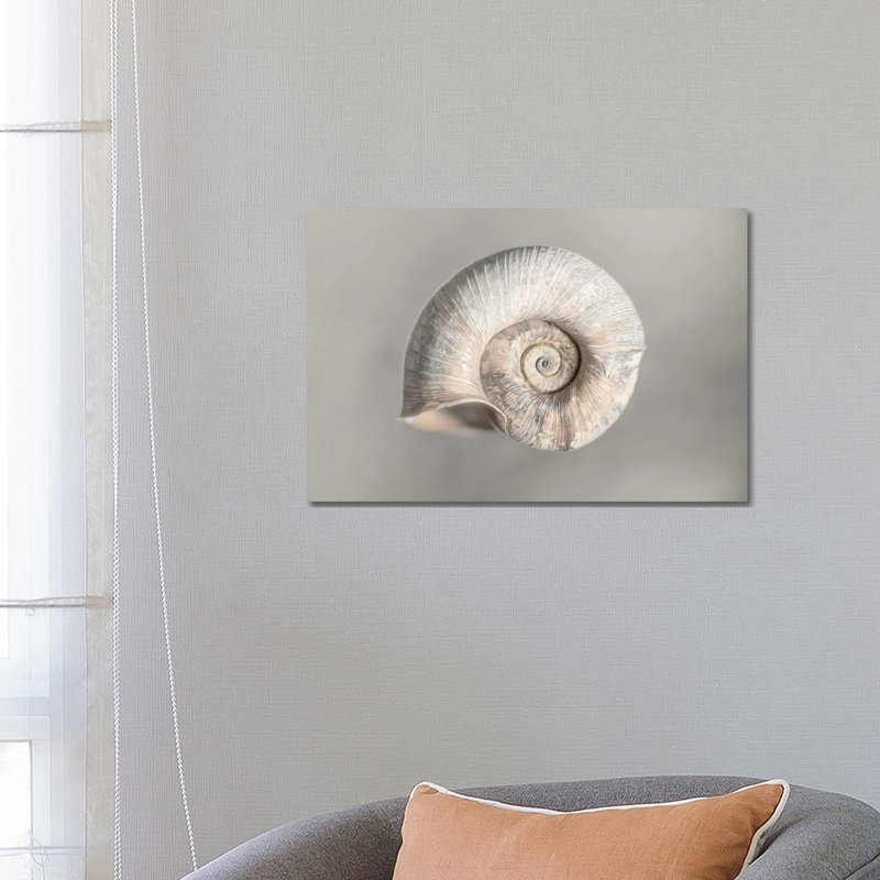 100 Years Of Shell Pearl Edition by Nik Rave - Wrapped Canvas Print, 66.04 cm H x 45.72 cm W