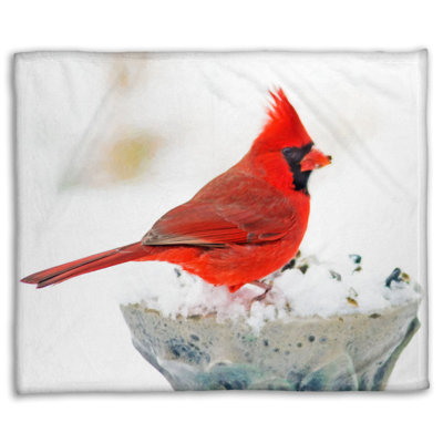 Coral Fleece Blanket, Cardinal in White by Hal Halli